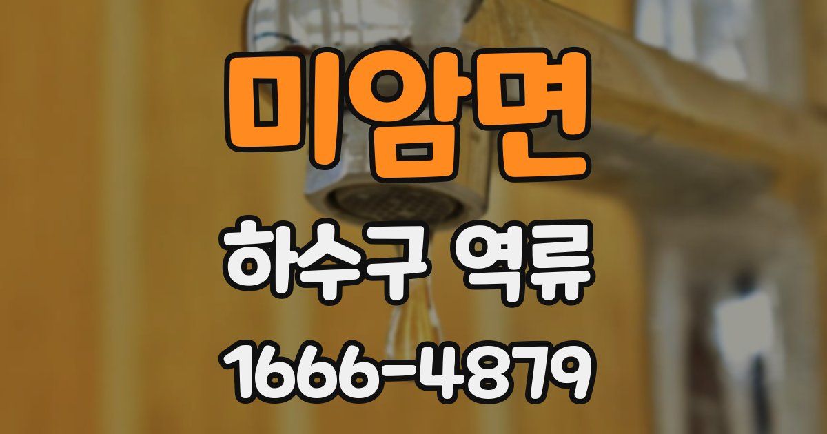 미암면 하수구 역류