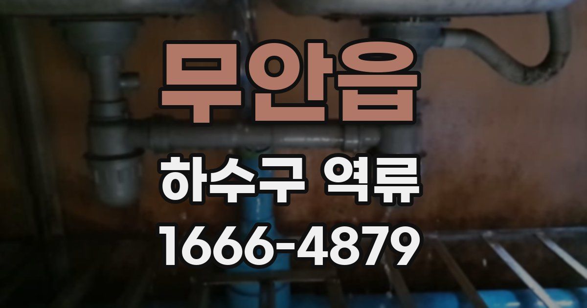 무안읍 하수구 역류