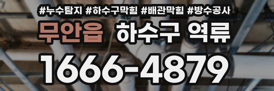 무안읍 하수구 역류