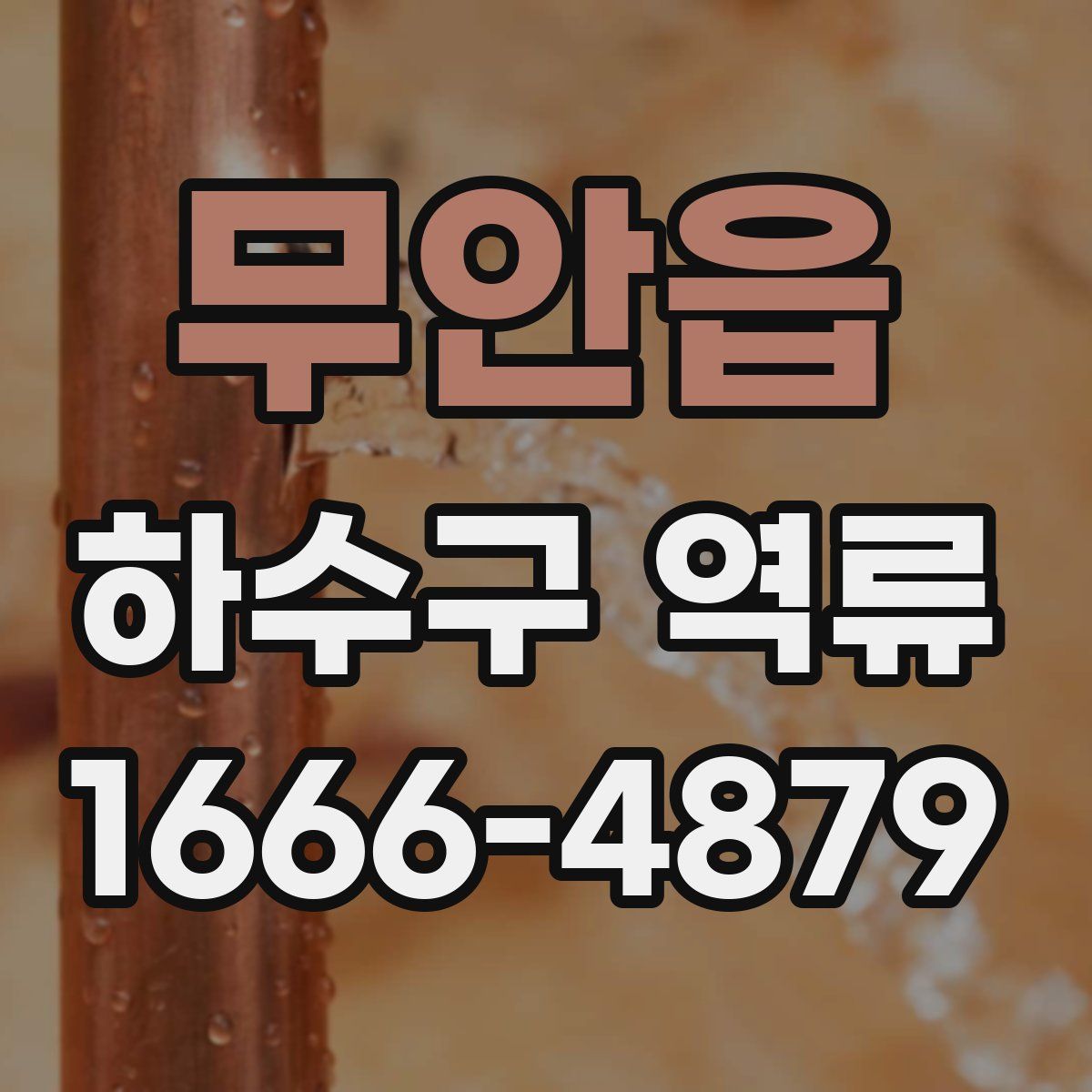 무안읍 하수구 역류