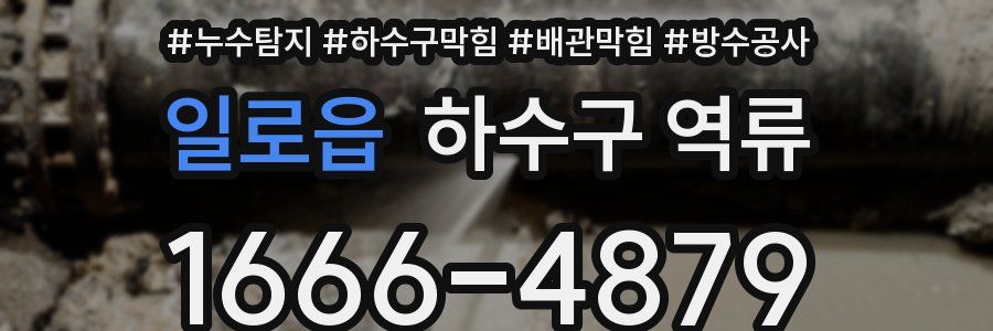 일로읍 하수구 역류