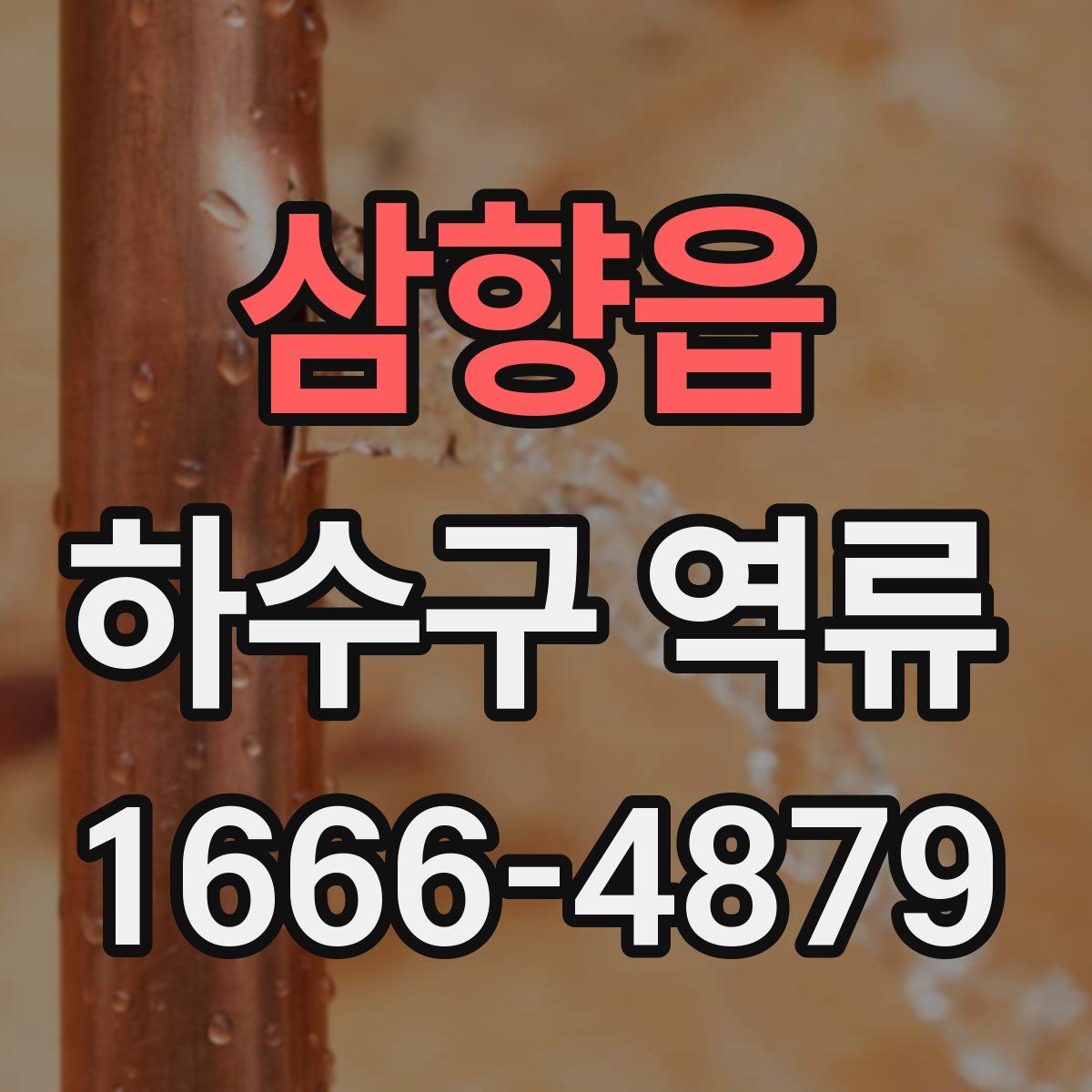 삼향읍 하수구 역류