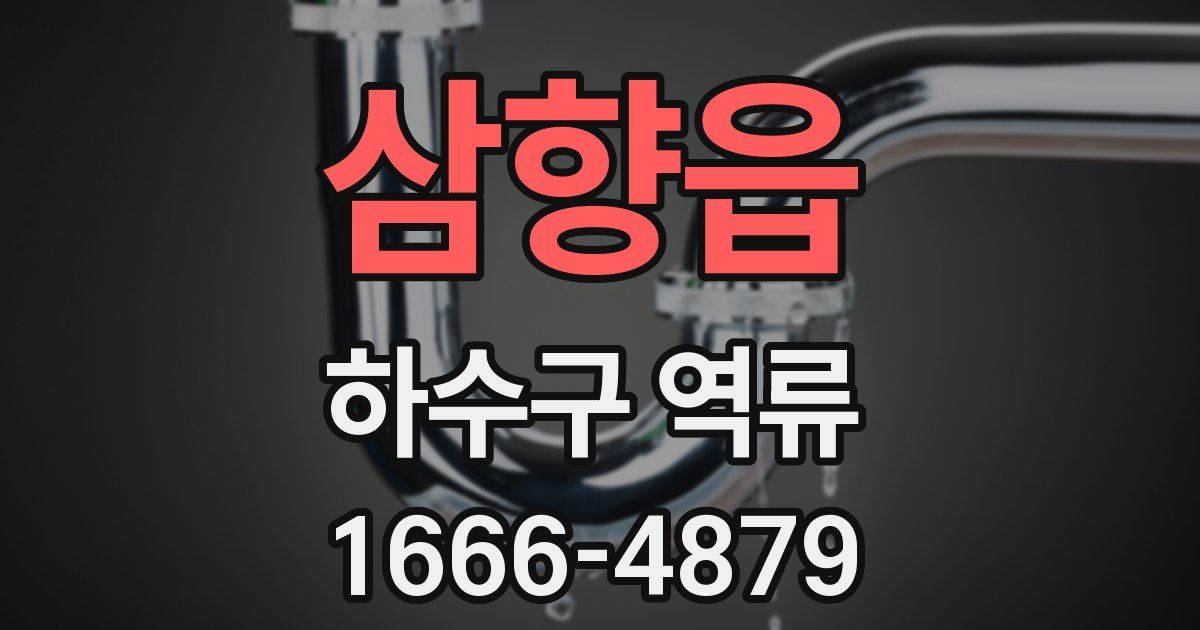 삼향읍 하수구 역류