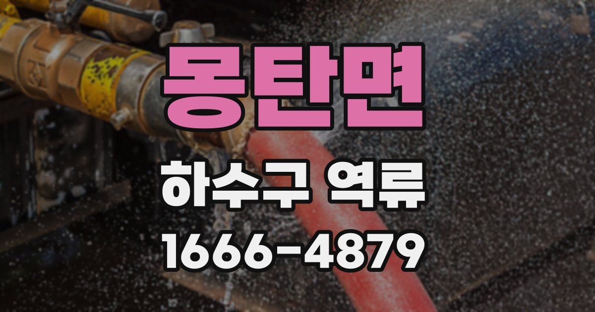 몽탄면 하수구 역류