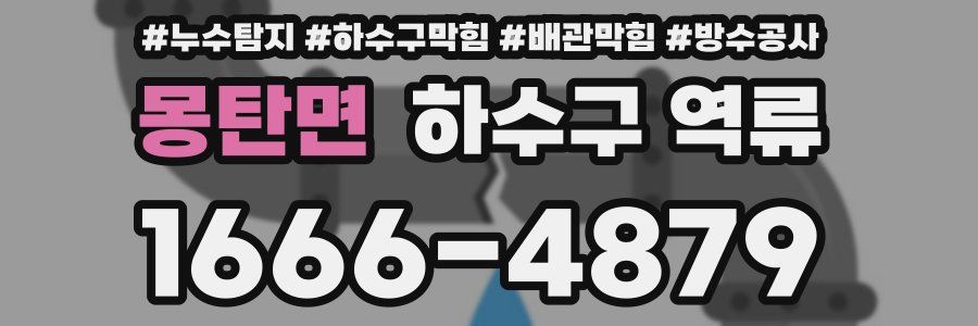 몽탄면 하수구 역류