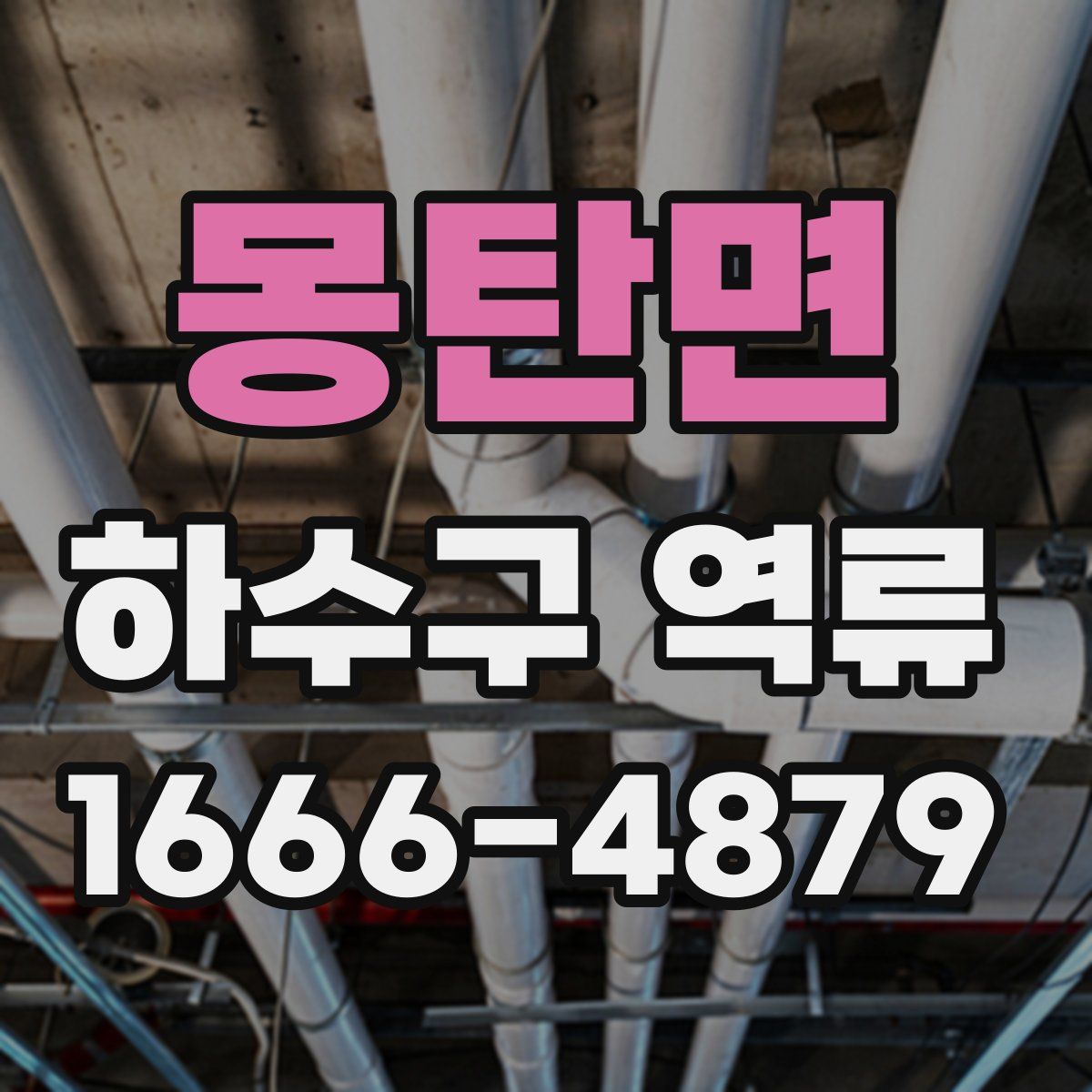 몽탄면 하수구 역류
