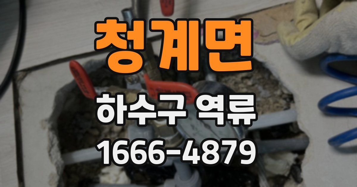 청계면 하수구 역류