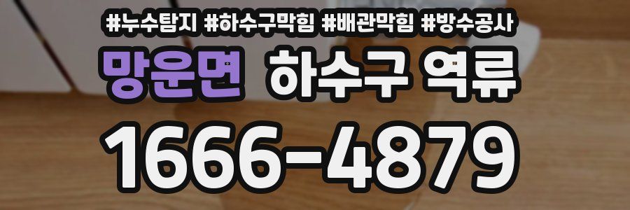 망운면 하수구 역류