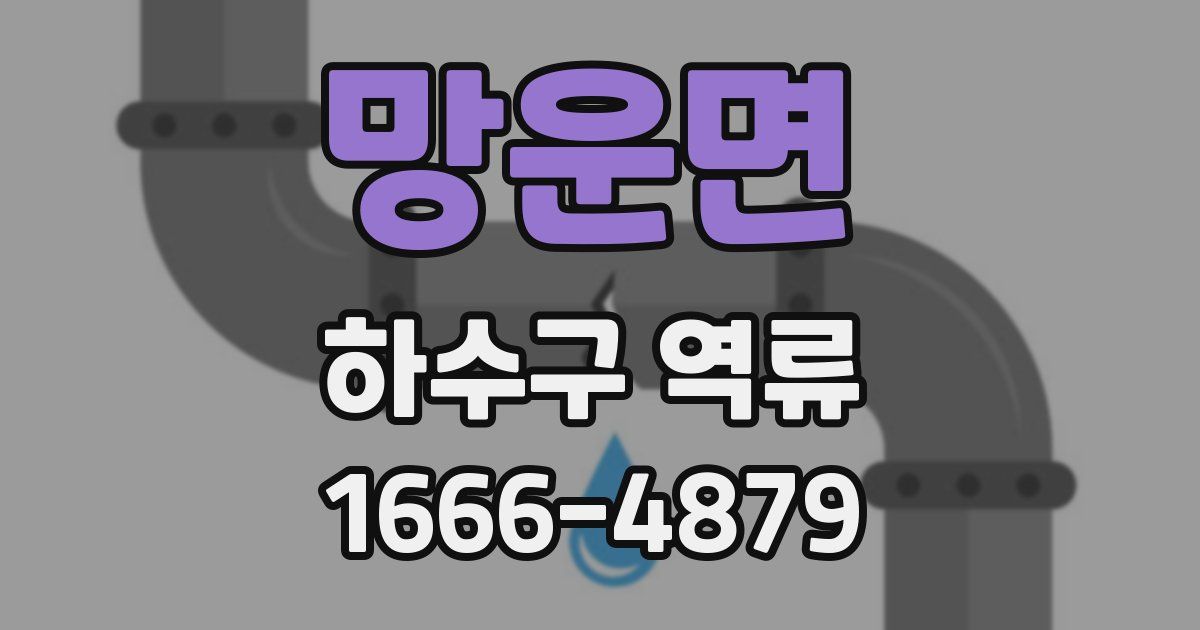 망운면 하수구 역류