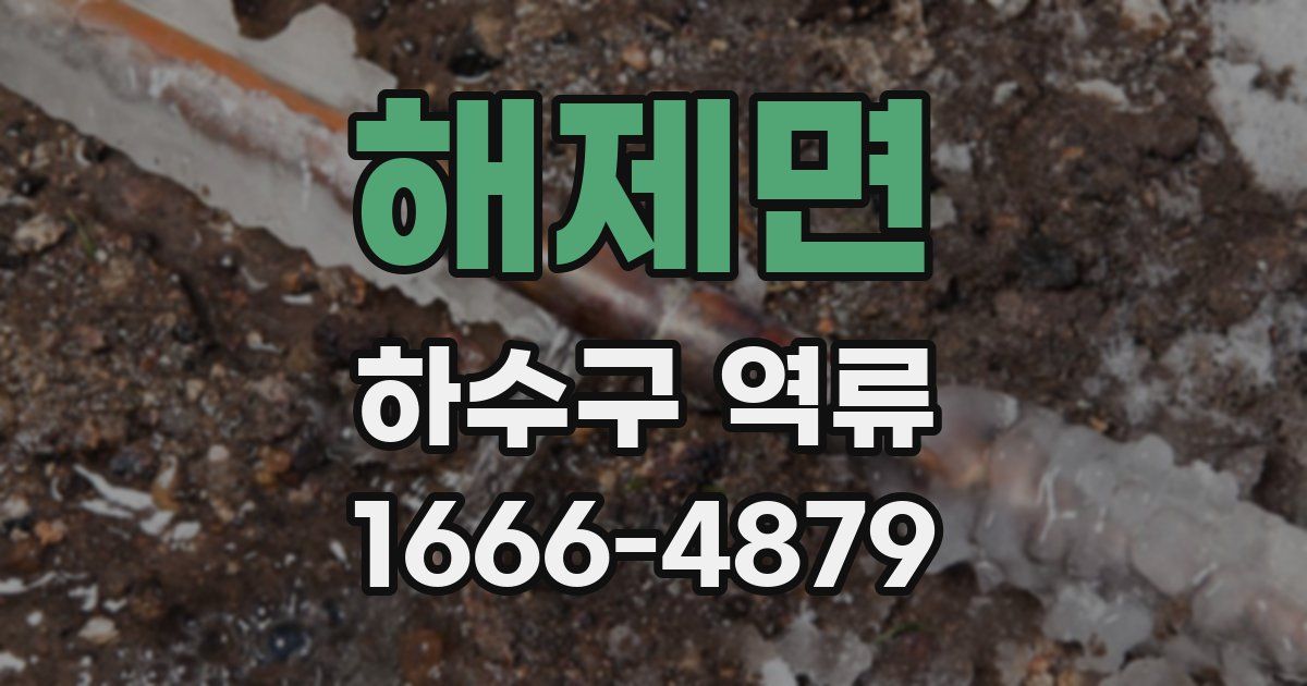해제면 하수구 역류