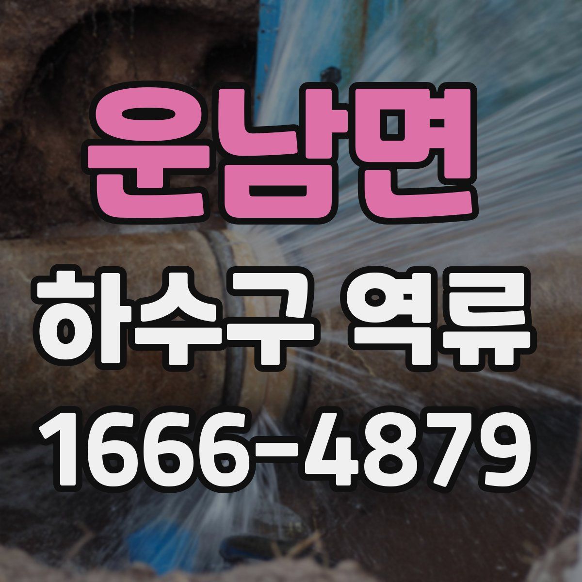 운남면 하수구 역류
