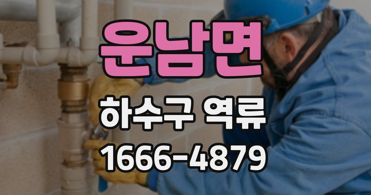 운남면 하수구 역류