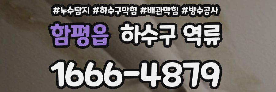 함평읍 하수구 역류