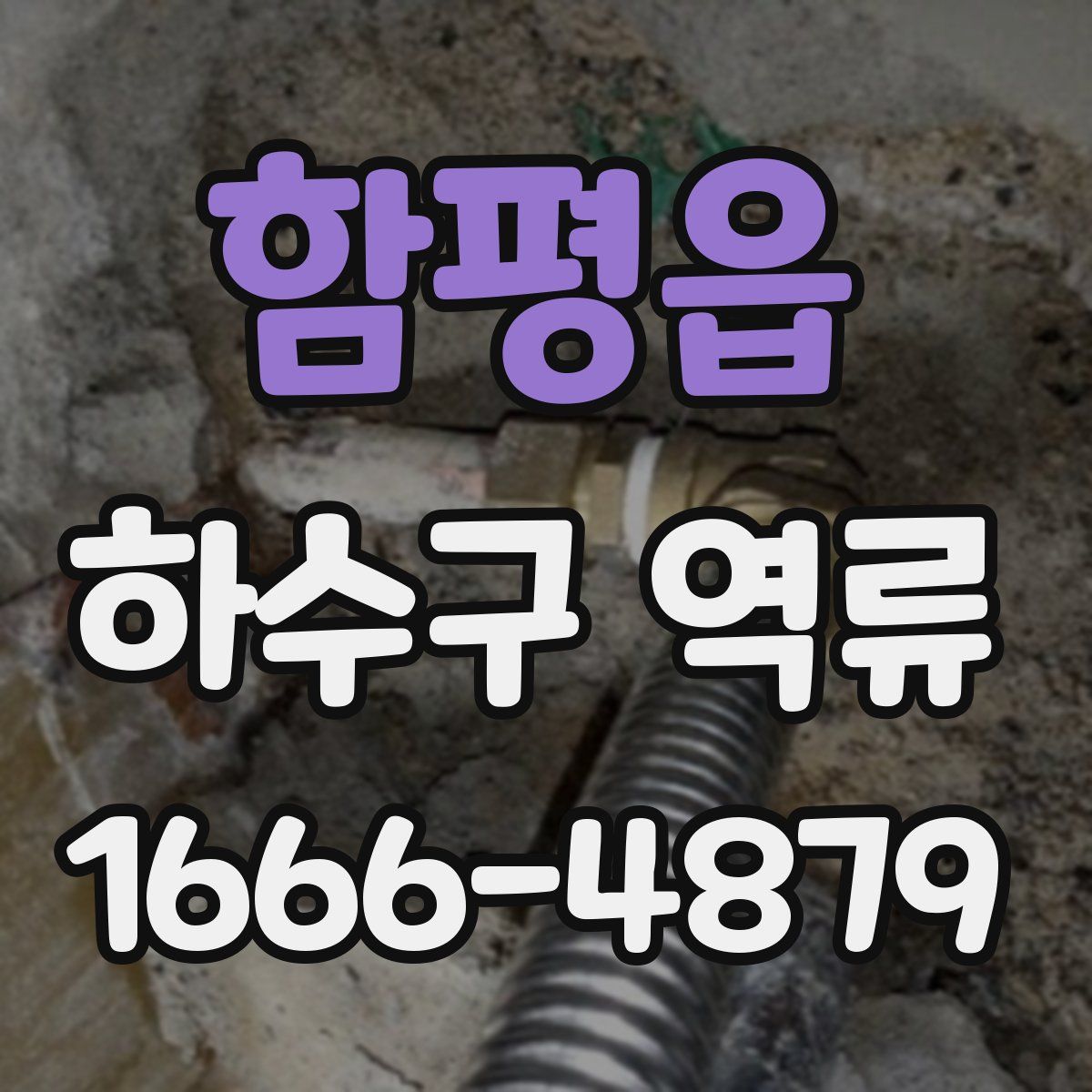 함평읍 하수구 역류