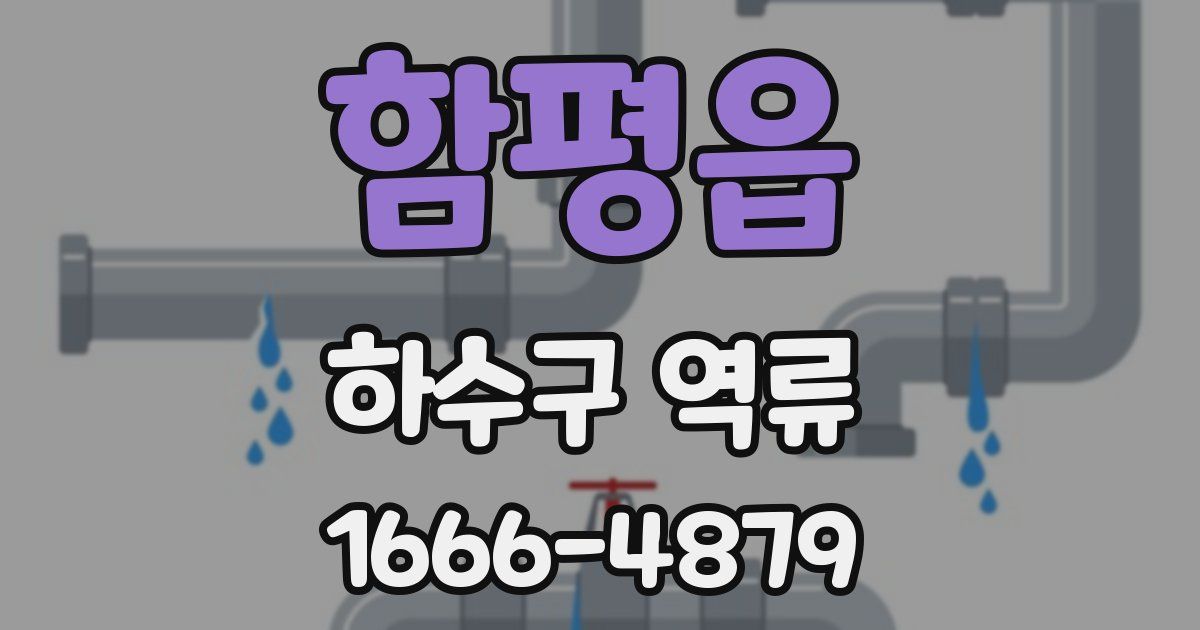 함평읍 하수구 역류