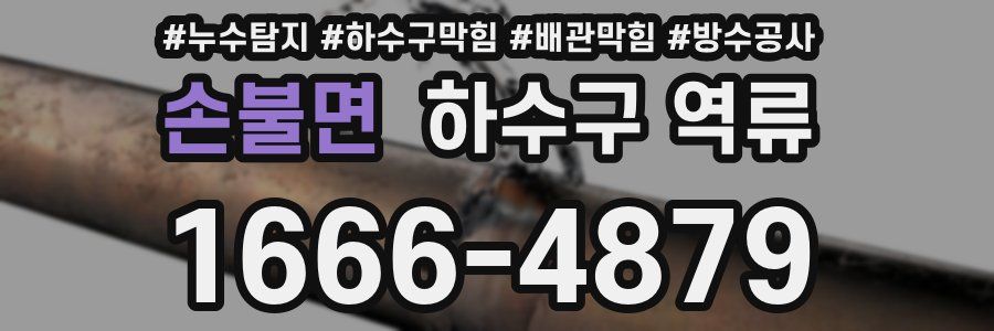 손불면 하수구 역류