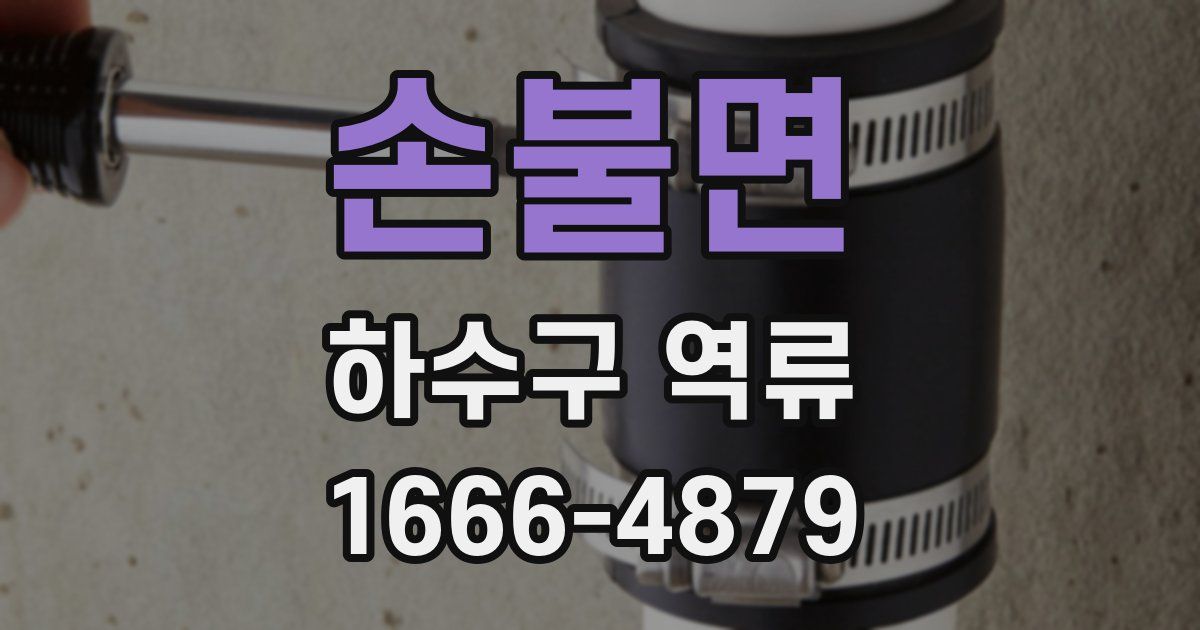 손불면 하수구 역류