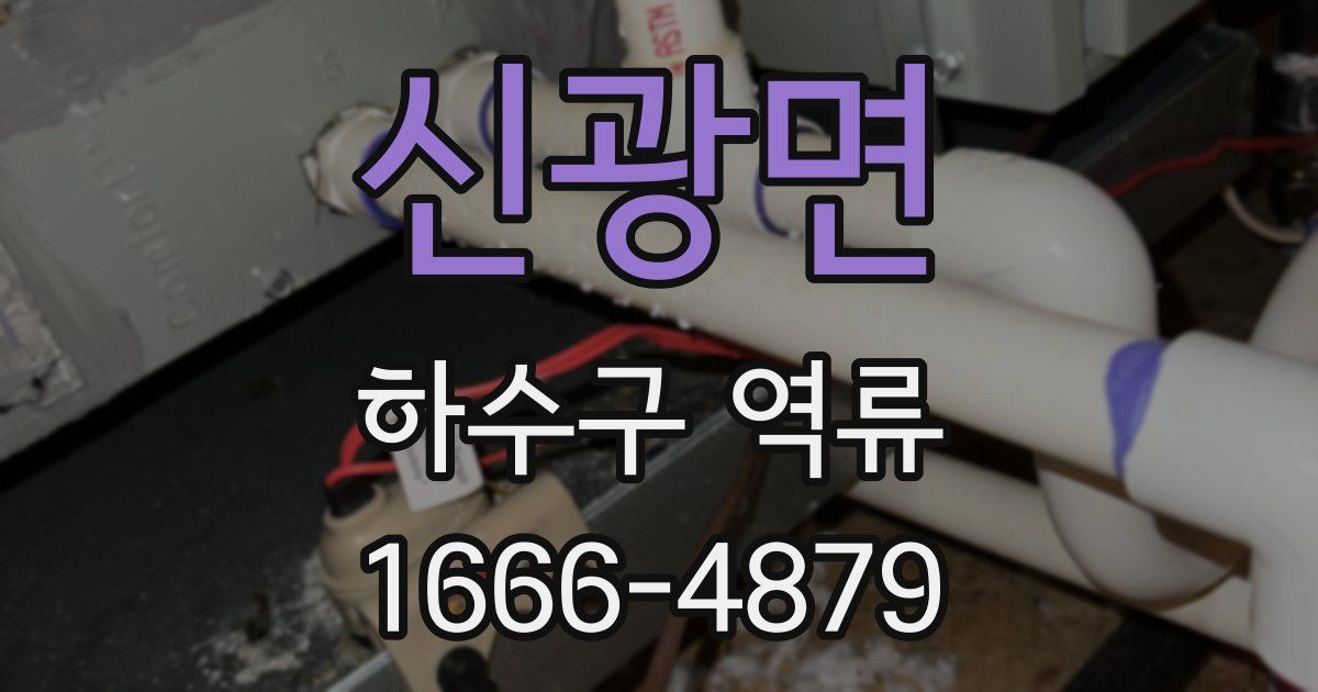 신광면 하수구 역류