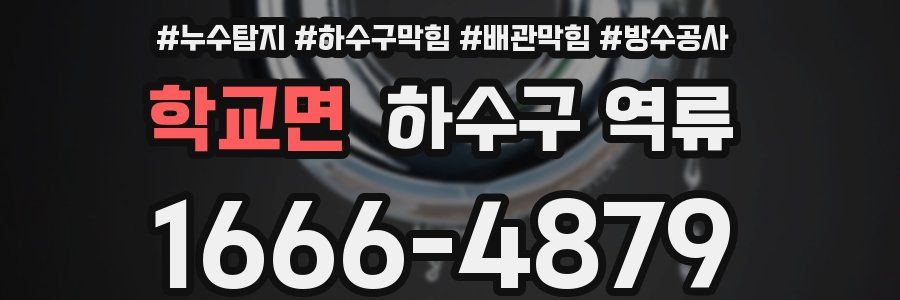 학교면 하수구 역류
