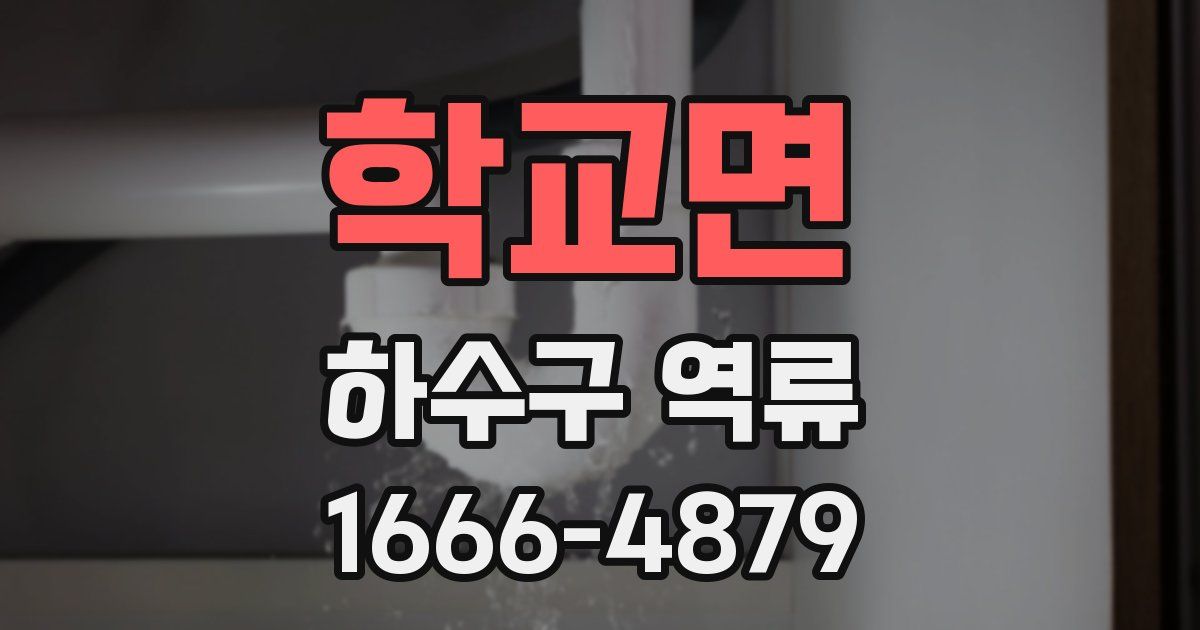 학교면 하수구 역류