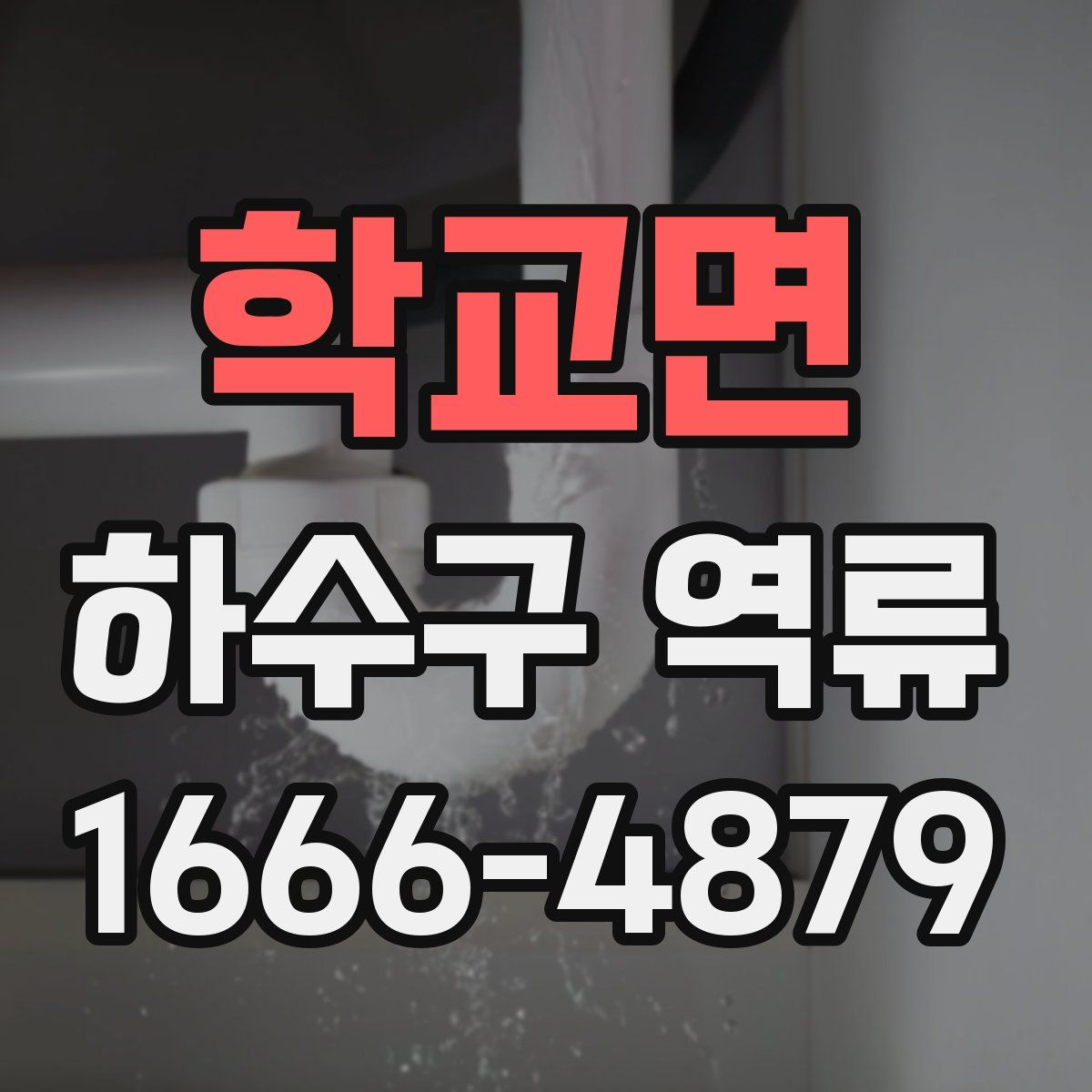 학교면 하수구 역류