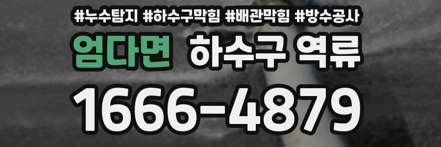 엄다면 하수구 역류