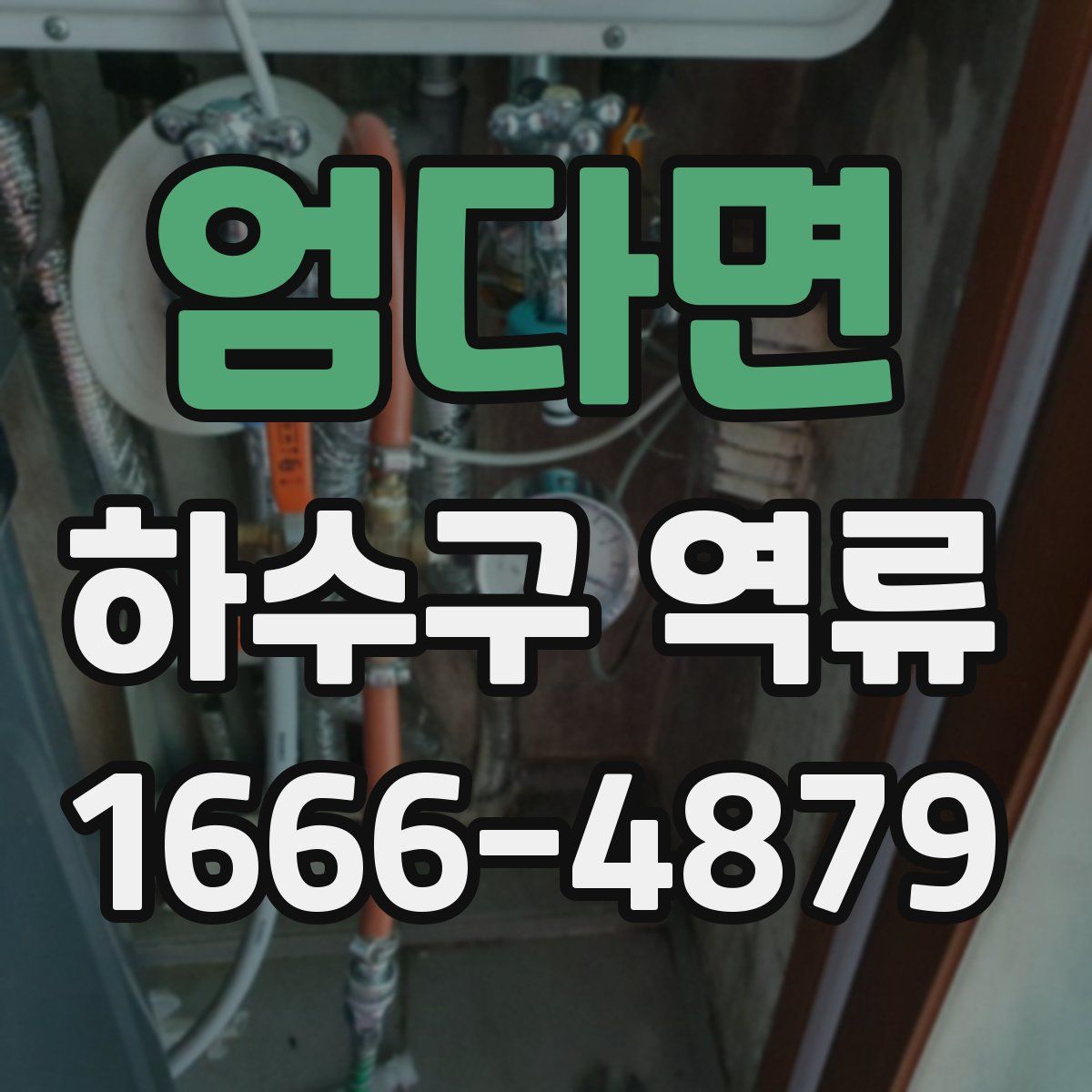 엄다면 하수구 역류