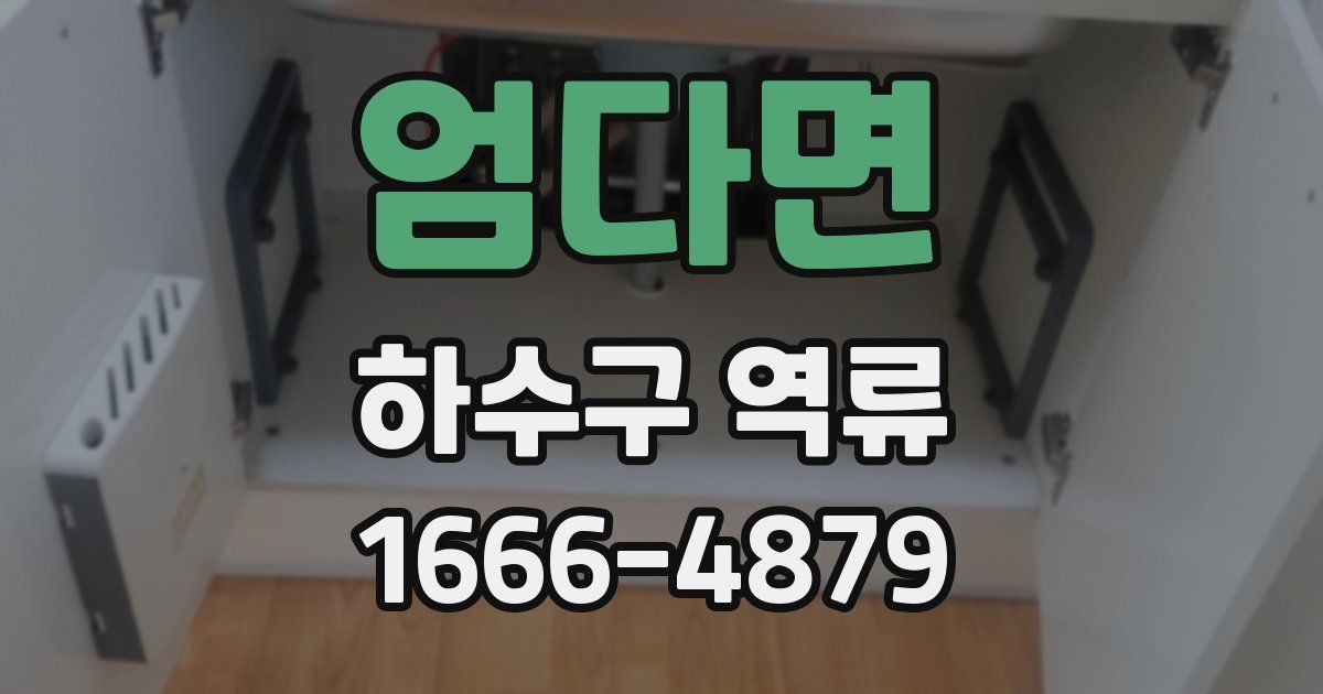 엄다면 하수구 역류
