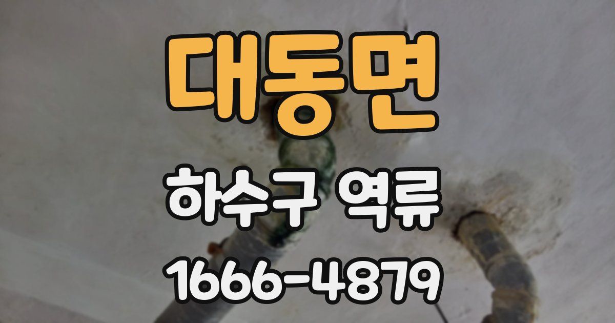 대동면 하수구 역류