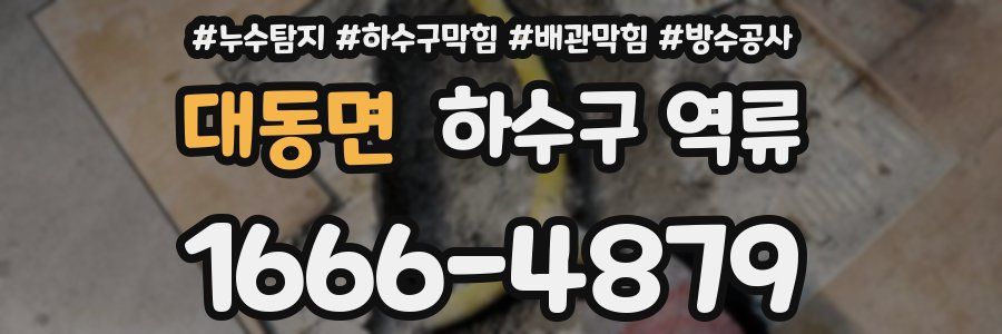 대동면 하수구 역류