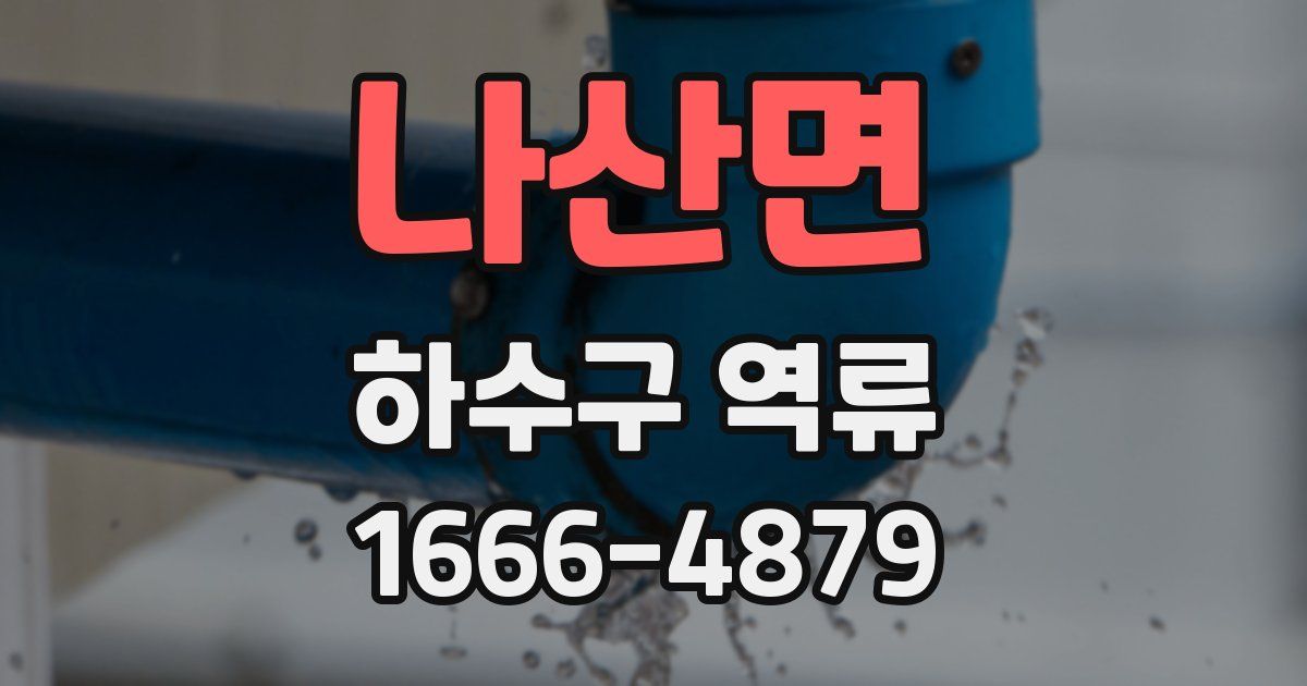 나산면 하수구 역류