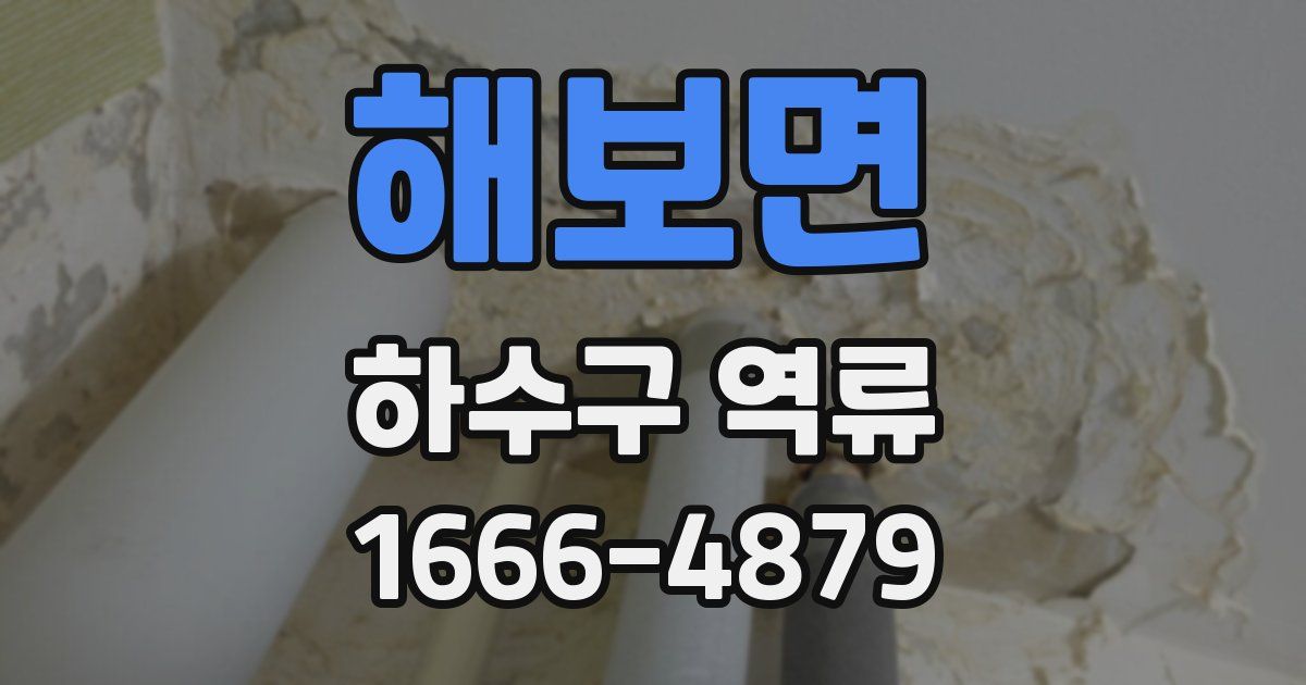 해보면 하수구 역류
