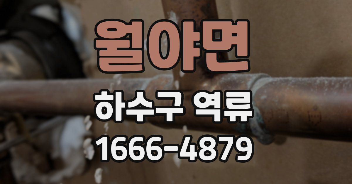 월야면 하수구 역류