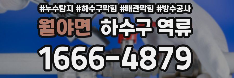 월야면 하수구 역류