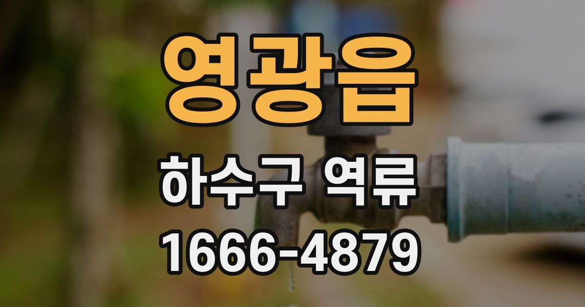 영광읍 하수구 역류
