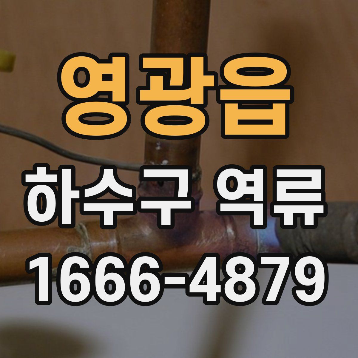 영광읍 하수구 역류