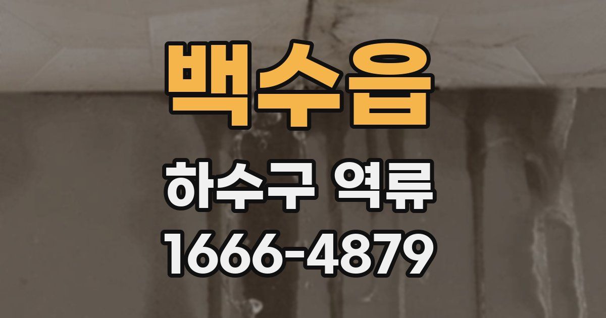 백수읍 하수구 역류