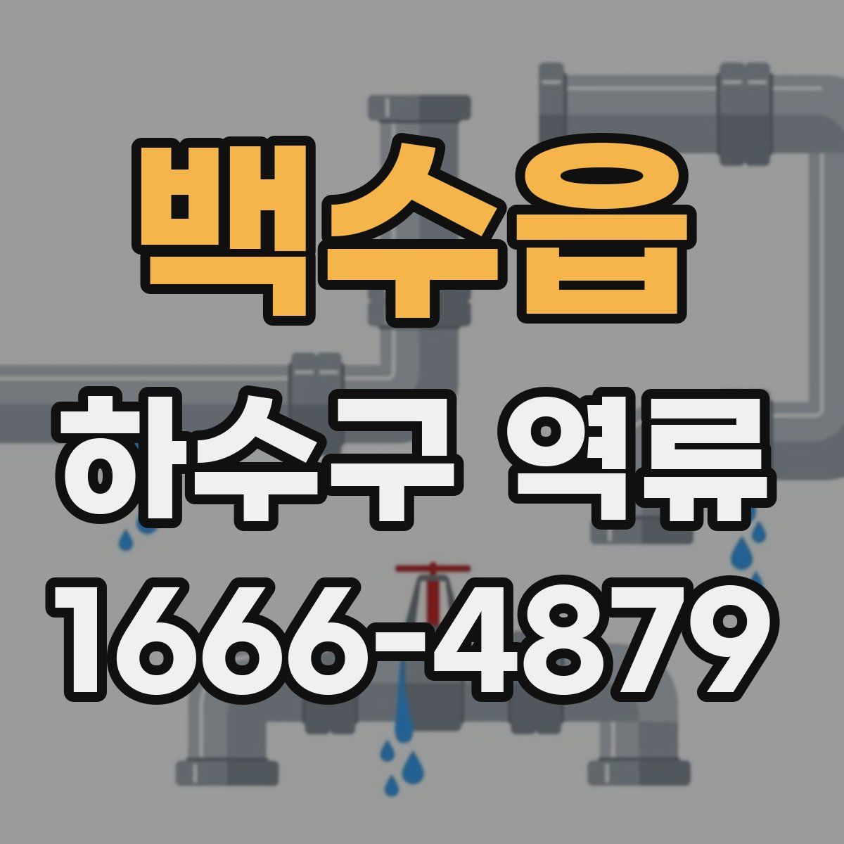 백수읍 하수구 역류