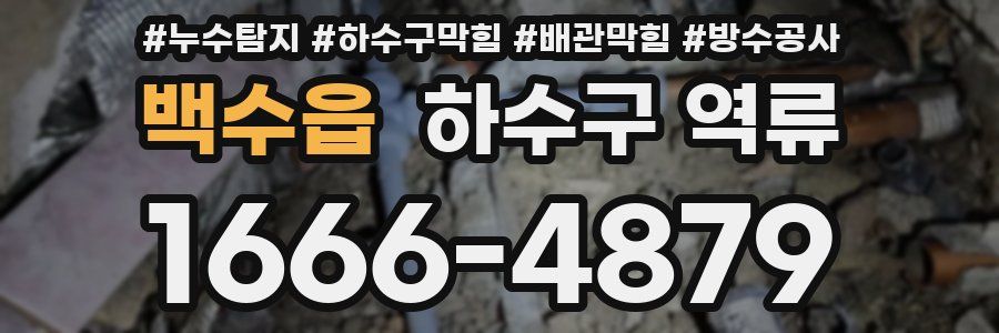 백수읍 하수구 역류