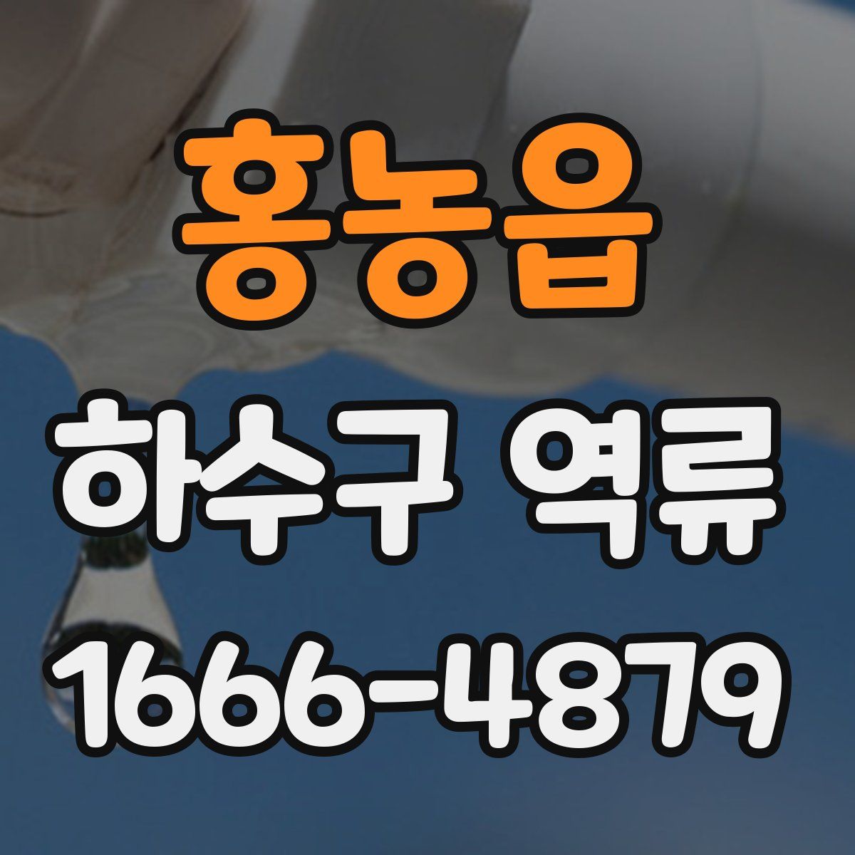 홍농읍 하수구 역류