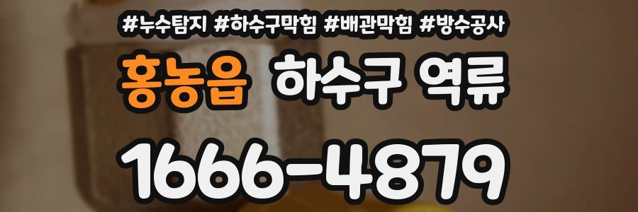 홍농읍 하수구 역류