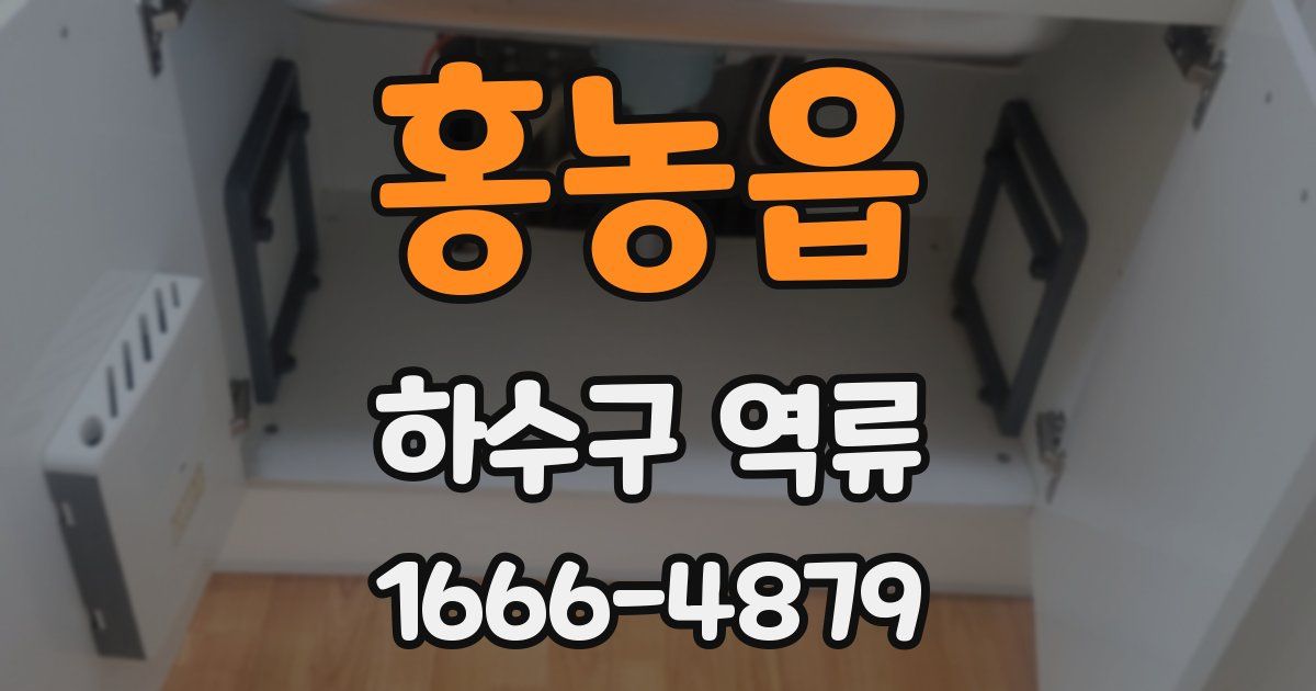 홍농읍 하수구 역류