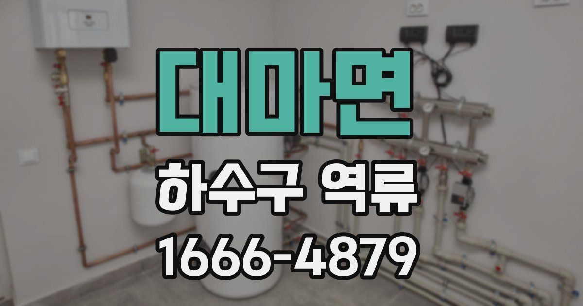 대마면 하수구 역류