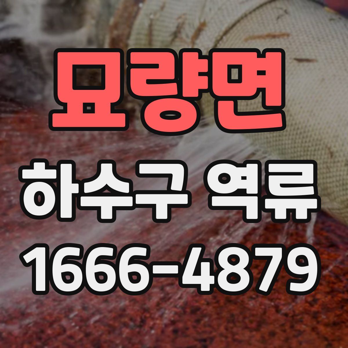 묘량면 하수구 역류