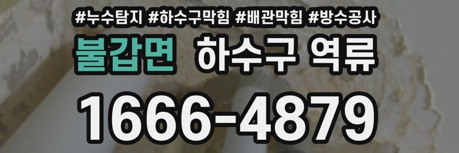 불갑면 하수구 역류