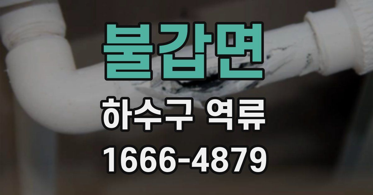 불갑면 하수구 역류