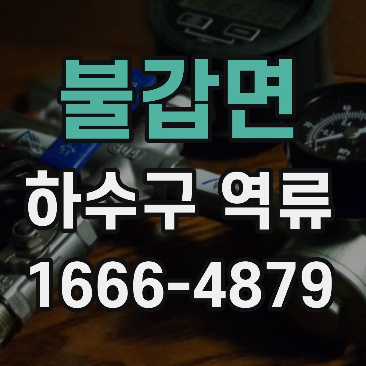 불갑면 하수구 역류