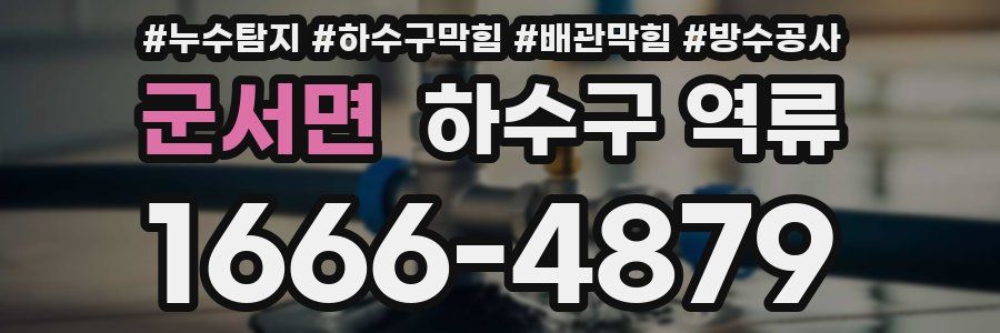 군서면 하수구 역류
