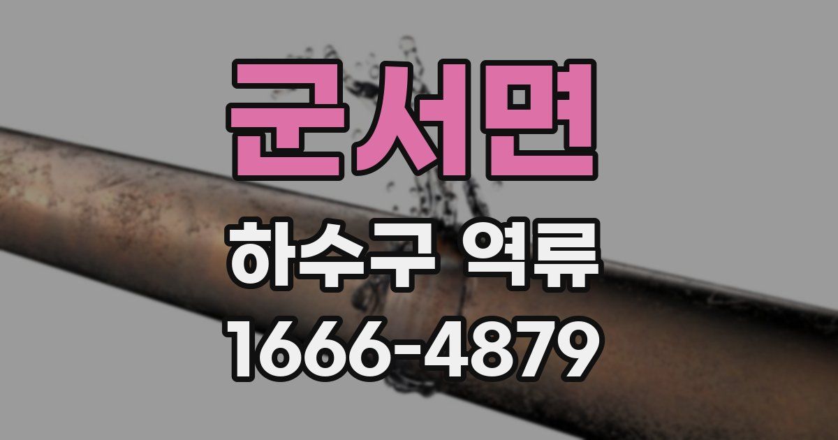 군서면 하수구 역류
