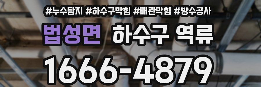 법성면 하수구 역류